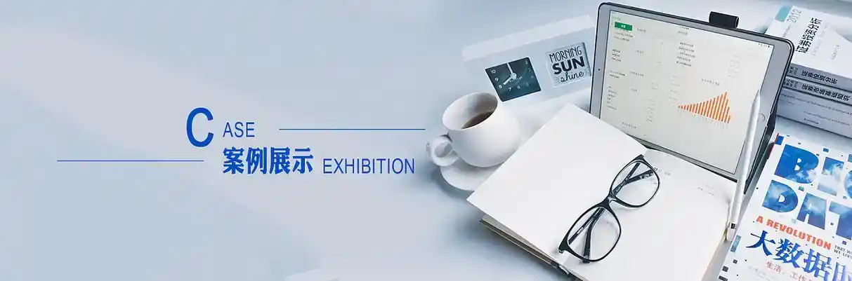 九里区软件开发